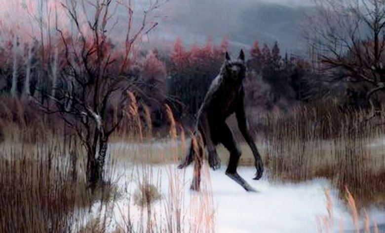 Pas čovek stane pod točkove automobila i ništa mu se ne dogodi.