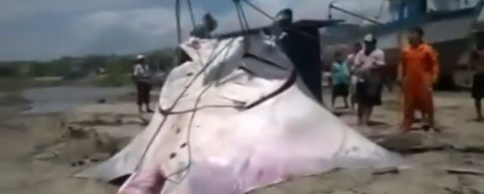 Uhvaćen džinovska rampa