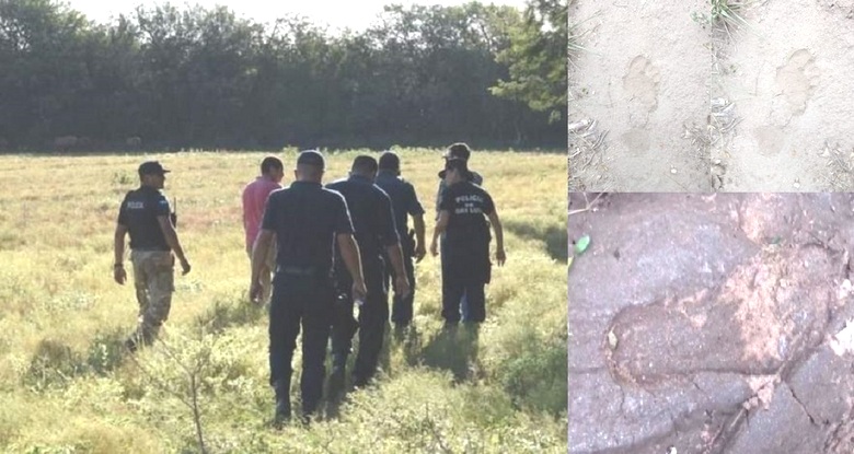 Argentinska policija ili traži Bigfoota, ili vjetar u polju