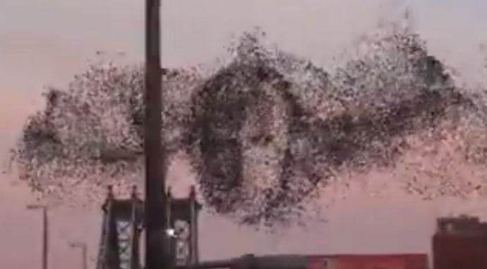 Putinov portret leti preko New Yorka