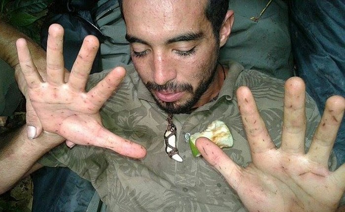 Izgubljeni u džungli ili paralelne dimenzije?