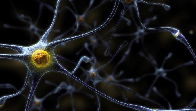 Oštećeni živci se mogu popraviti laserom.