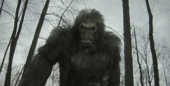 Novi dokazi za yeti predstavljeni