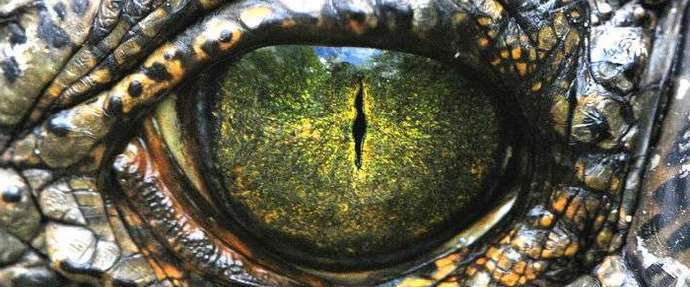 Približava se novo razdoblje džinovskih dinosaura.