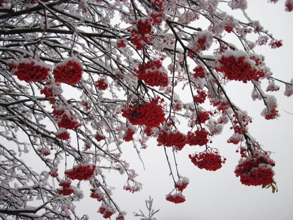 Znakovi, običaji i zavjere za 18. novembar - dan Galaktiona, Epistimije i Jone 