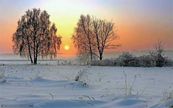Tradicije i rituali 3. decembra 