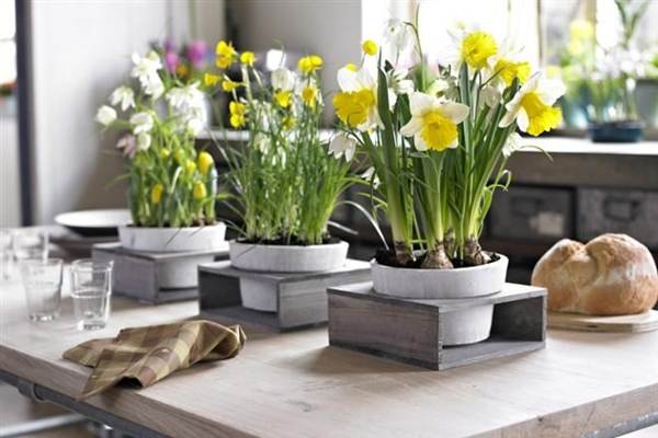 koje cvijeće se ne može držati na kućnim natpisima 