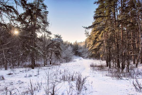 natpisi za 9. decembar 
