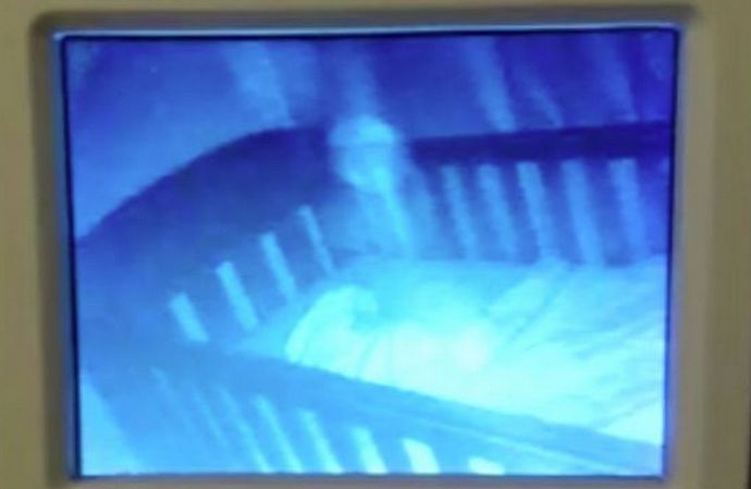 Duhovi mogu gledati i čak paziti na bebu