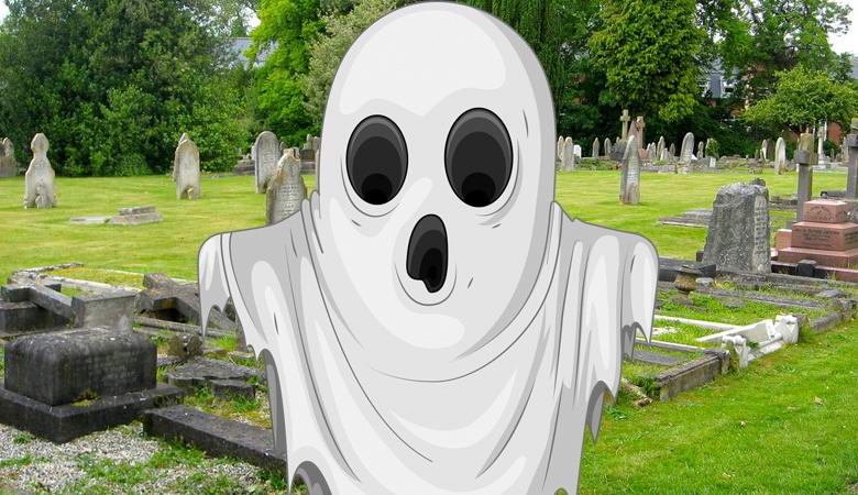 Duh je poletio pravo u objektiv britanske kamere