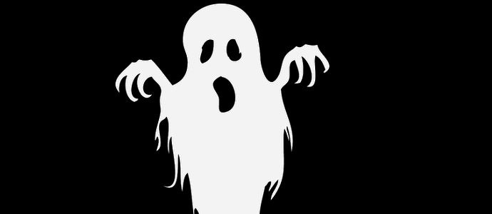 Duh je udario u nadzornu kameru engleskog restorana