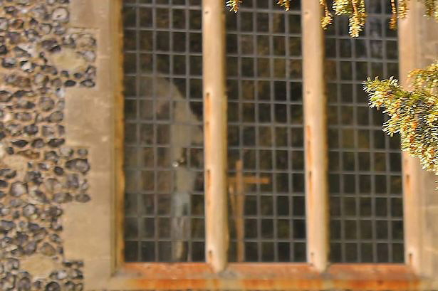 Duh se može otkriti čak i po mirisu.