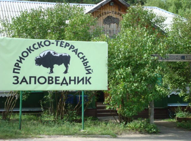 Nedostaje vrijeme u rezervatu Prioksko-Terrasny