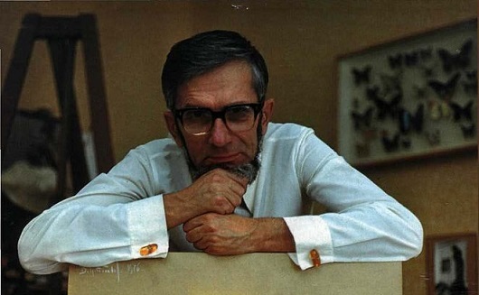 Nestali gravitacioni avion naučnika Grebennikov