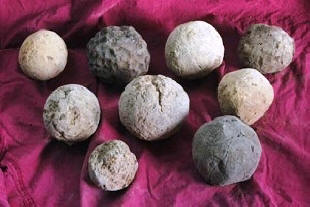 Rijetka sorta poltergeista