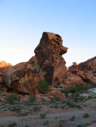 Gmazovsko stvorenje uplašilo je bicikliste u pustinji Sonora