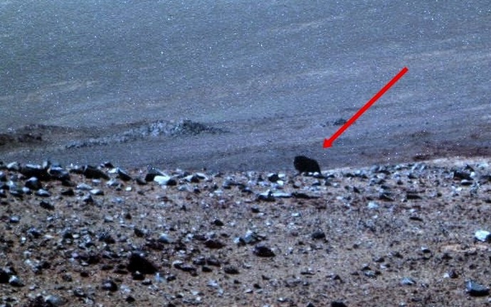 NASA Rover upucao životinju na Marsu