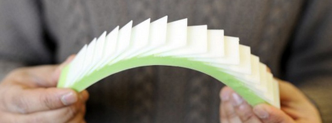 Najbolji oklop su riblje vage!