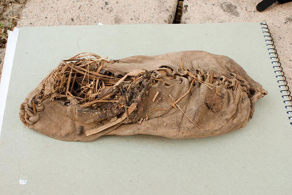 najstariji svjetovi-obične-stvari-3