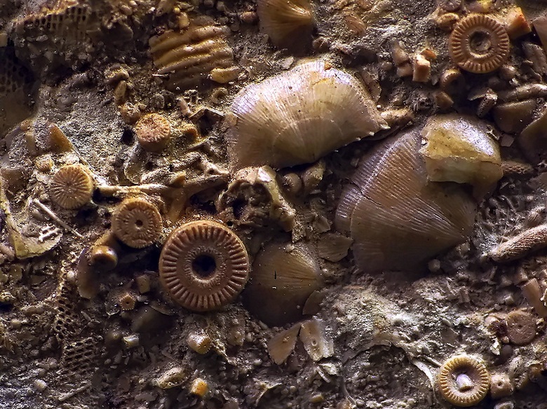 Naj fantastičniji artefakti nestaju bez traga