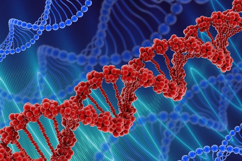 Neuspjeh u genskom programu: dječakov zub nije odrastao tamo gdje bi trebao biti.