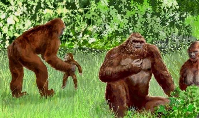 Porodica snežaka pala je u objektiv kamere