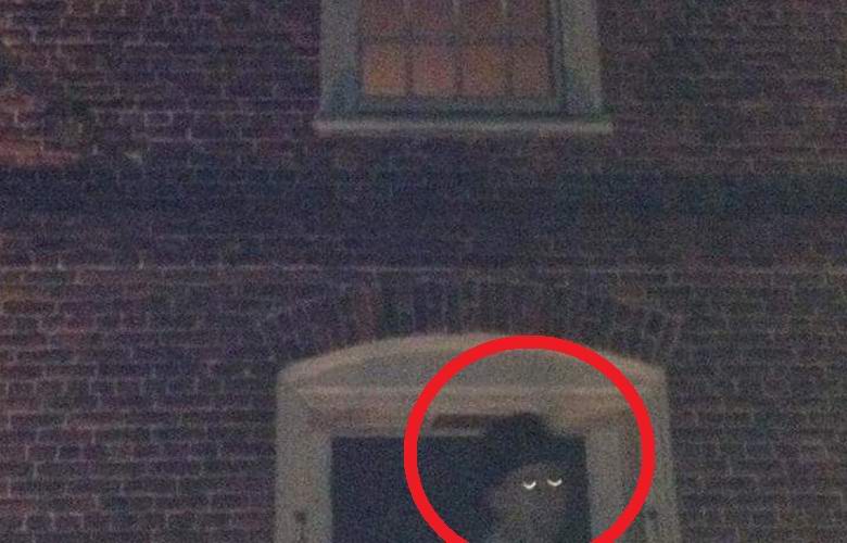 Čovjek sa čudnim očima je fotografiran