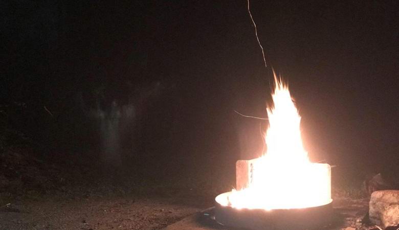 Fotografirao duha u američkoj noćnoj šumi