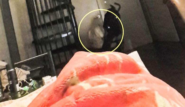 Snimljen zlobnim fantomom kako sjedi na podu stana