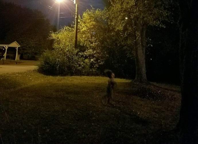 Snimljeno od strane čudnog stvorenja