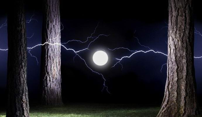 Kuglasta munja napada rusku decu