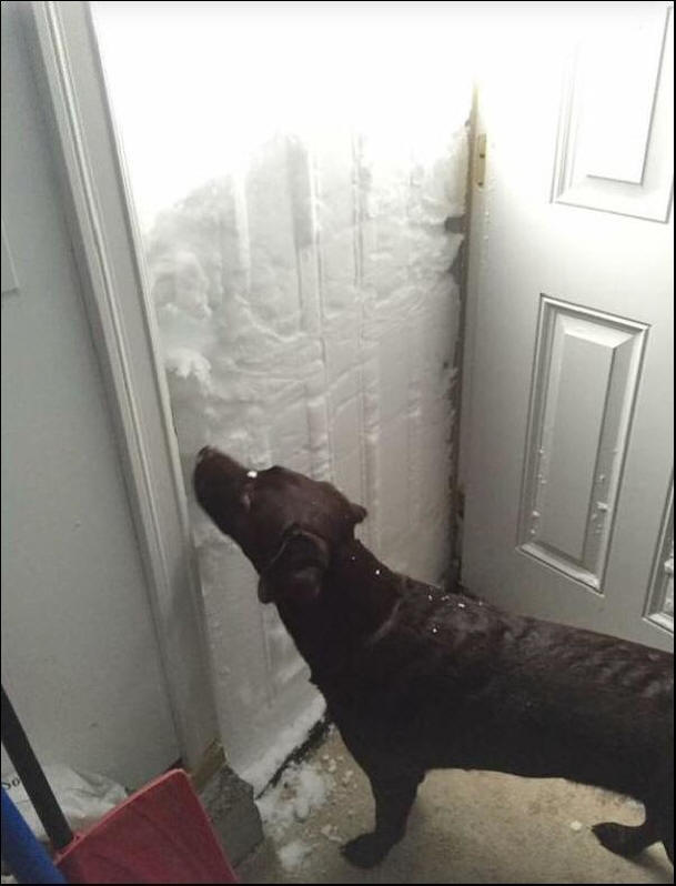 Američka snježna oluja Anomaly, Oluja