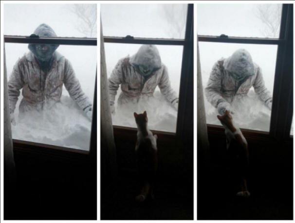 Američka snježna oluja Anomaly, Oluja