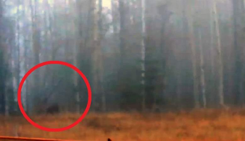 Snežni čovek bacio trupac u šumu