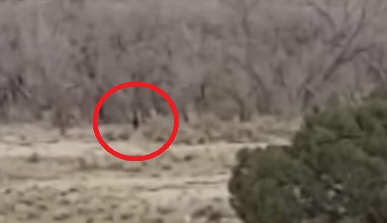 Bigfoot je udario video na indijanskoj rezervaciji