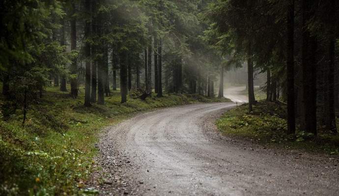 Bigfoot izazvao nesreću