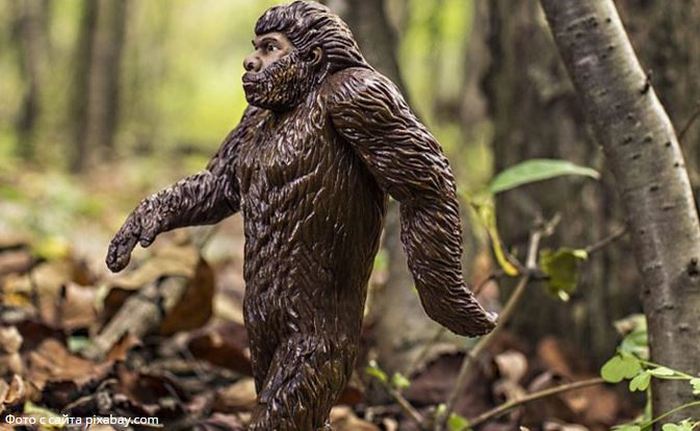 Bigfoot je primećen na dva mesta u Rusiji odjednom