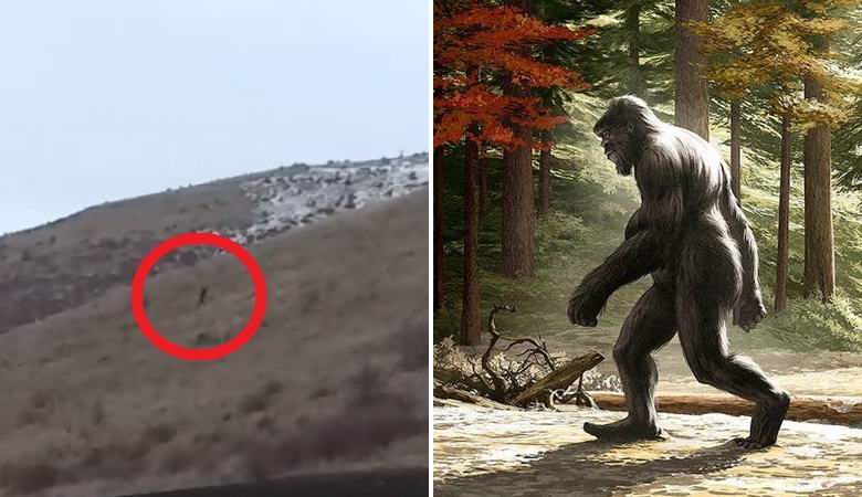 Bigfoot zarobljen u Idahu