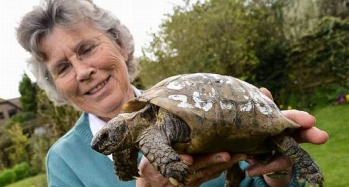 Stogodišnja kornjača se vratila kući nakon dugih lutanja