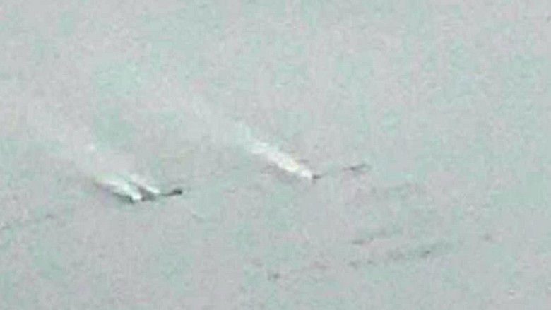 Čudna para bježi iz debljine grenlandskog glečera