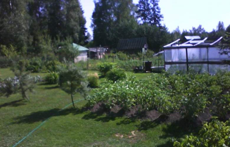 Neobično lice na prozoru upozorilo je vologdsku ženu na požare