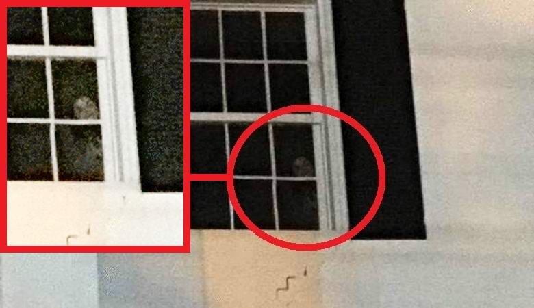 Graditelj je na fotografiji kupca pronašao duha