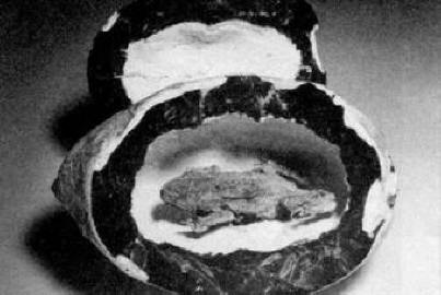 Bića iz drugih vremena