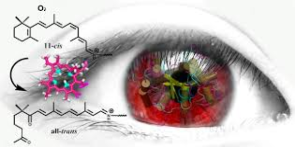 Postoji liječenje raka koje ljudima daje 'noćni vid', a sada znamo i zašto 