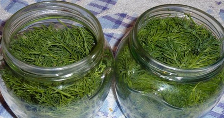 Svježi kopar može se čuvati u frižideru nekoliko mjeseci.