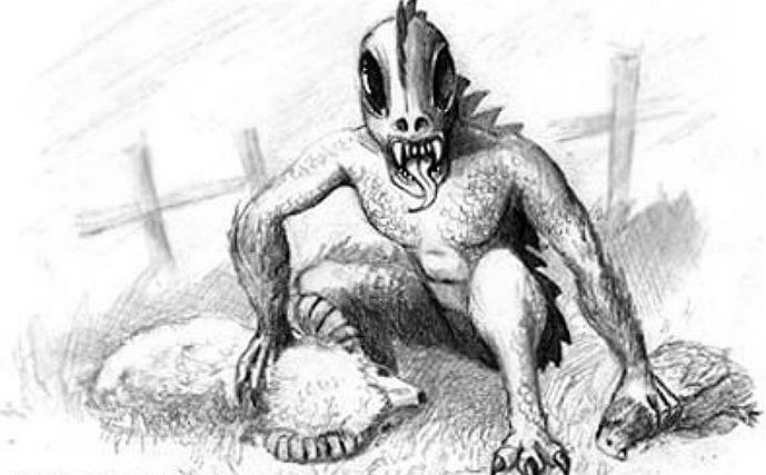 Tajanstvena chupacabra pojavila se u Karpatskoj regiji