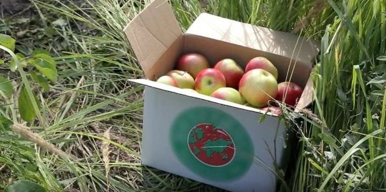 Tambovske jabuke idu u svemir