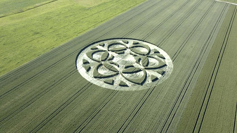 Sada se u Švicarskoj pojavio misteriozni crtež na žitnoj poljani