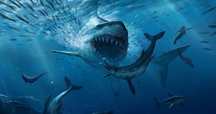 Najveća ajkula na svijetu megalodon fotografija