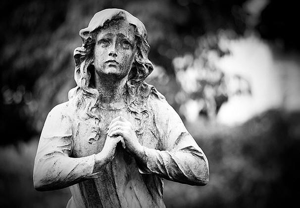 Nada, poniznost ... (Foto noindexa target = _blank href = http: //www.flickr.com/photos/flavioewerton/3637384824/Flavio Ewerton / a / noindex.)